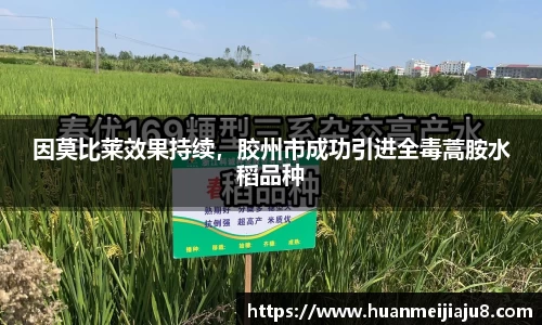 bsports官网