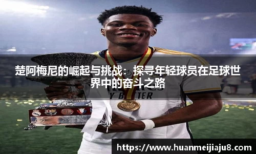 bsports官网入口